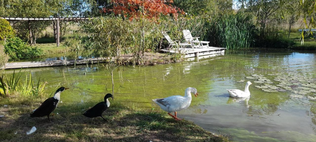 El Tramway Casa Antigua De Campo Bed & Breakfast San Antonio de Areco Ngoại thất bức ảnh