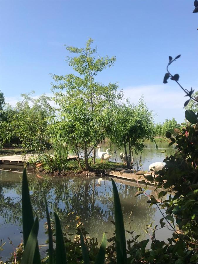 El Tramway Casa Antigua De Campo Bed & Breakfast San Antonio de Areco Ngoại thất bức ảnh