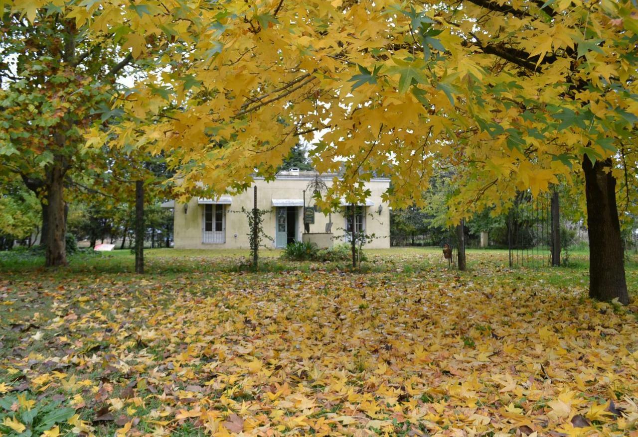 El Tramway Casa Antigua De Campo Bed & Breakfast San Antonio de Areco Ngoại thất bức ảnh