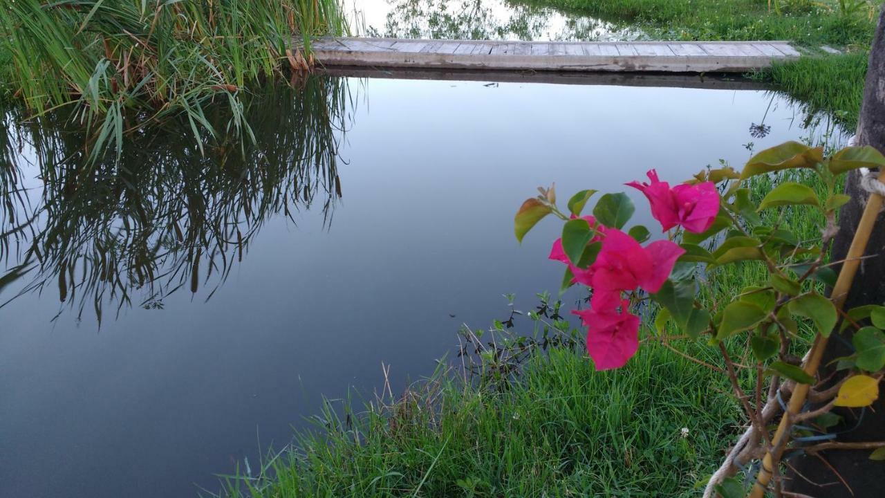 El Tramway Casa Antigua De Campo Bed & Breakfast San Antonio de Areco Ngoại thất bức ảnh